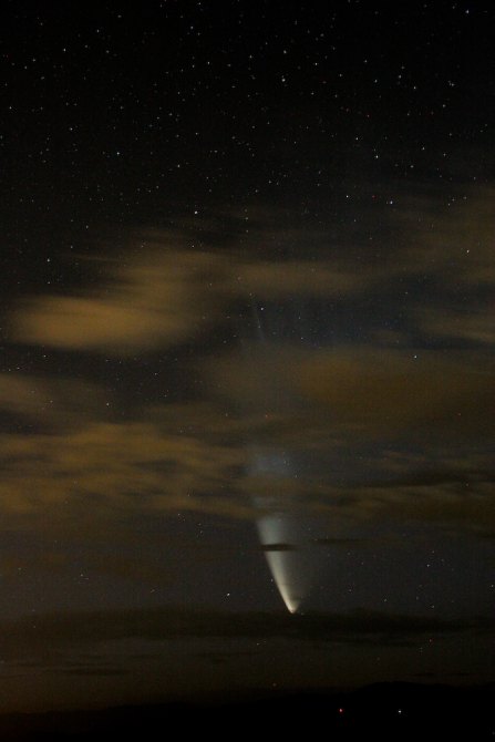 McNaught close-up