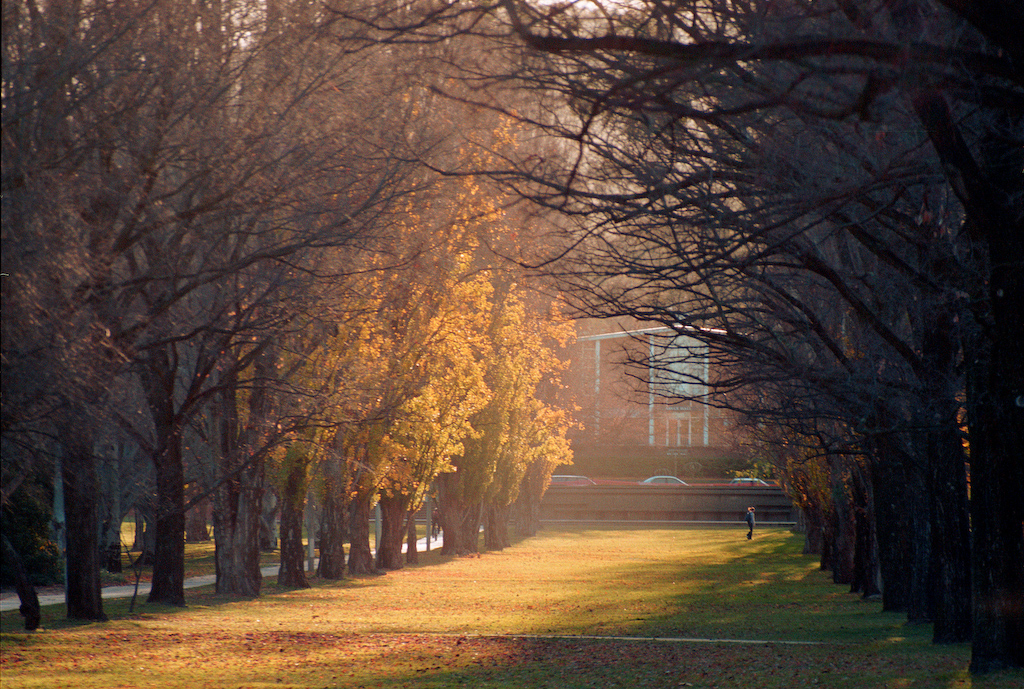 Autumn on Campus