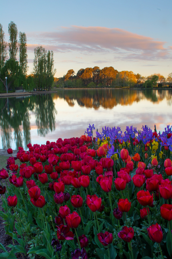 Floriade Lake View