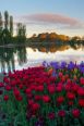 Floriade Lake View