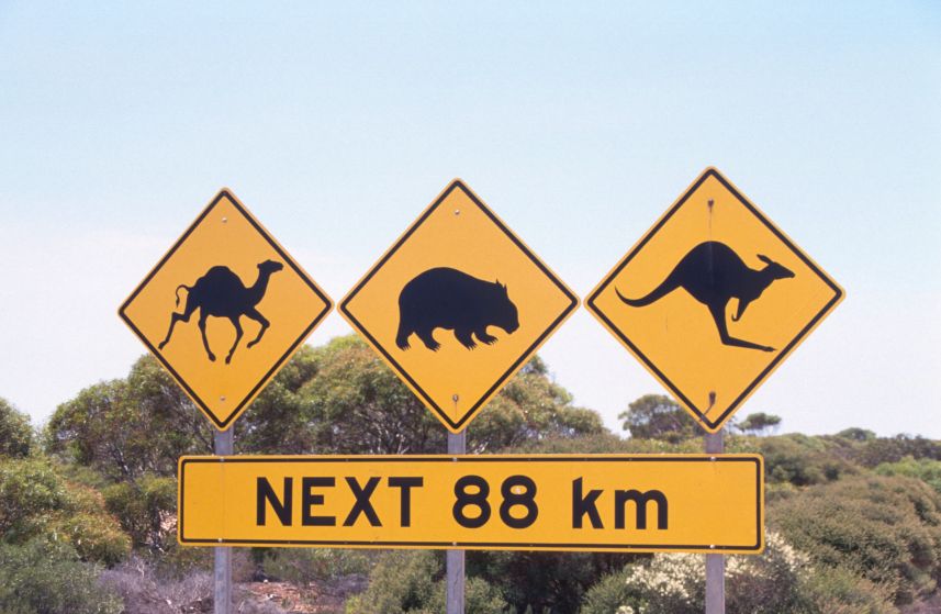 9B_Roadsigns.jpg