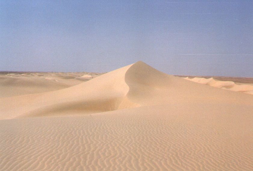 02sahara.jpg